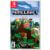 Minecraft Switch