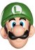 MÁSCARA NINTENDO - LUIGI ADULTO