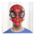 Marvel Spider Man Super Hero Mask