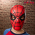 Spider-Man Basic Mask