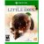 The Dark Pictures: Little Hope Xbox One