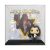POP Albums: Alice Cooper - Welcome To My Nightmare