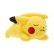 Pokemon - Sleeping Plush 5