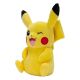 Pokemon - Plush 12