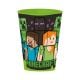 Vaso Infantil Minecraft 260ML