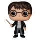 POP Harry Potter: Harry Potter - Harry Potter