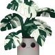 POP Jumbo: Flora- Monstera