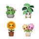 POP Plants: Flora 4PK(BF)